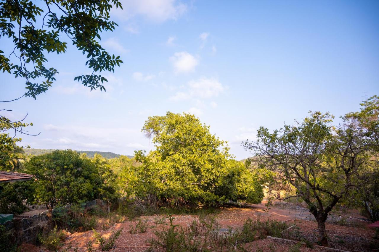La Oasis By Meraden ,Goa Andžuna Exteriér fotografie