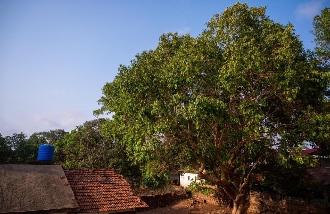 La Oasis By Meraden ,Goa Andžuna Exteriér fotografie